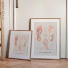 Plantar Fascia and Foot Arches anatomy chart for clinics