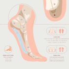 Plantar Fascia and Foot Arches anatomy chart for clinics