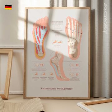Hochwertige Anatomieübersicht zur Plantarfaszie und zu den Fußgewölben mit plantarer Stützstruktur und Knochenaufbau.