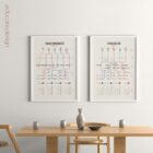 ANS Network Map Set anatomy chart for clinics ANS Network Map Set anatomy chart for clinics