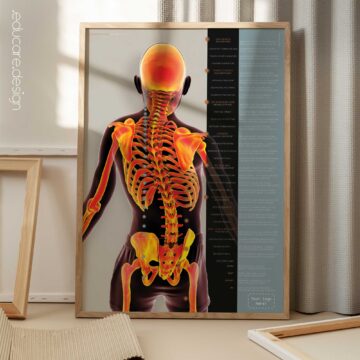 Children’s Spinal Health and Movement Support