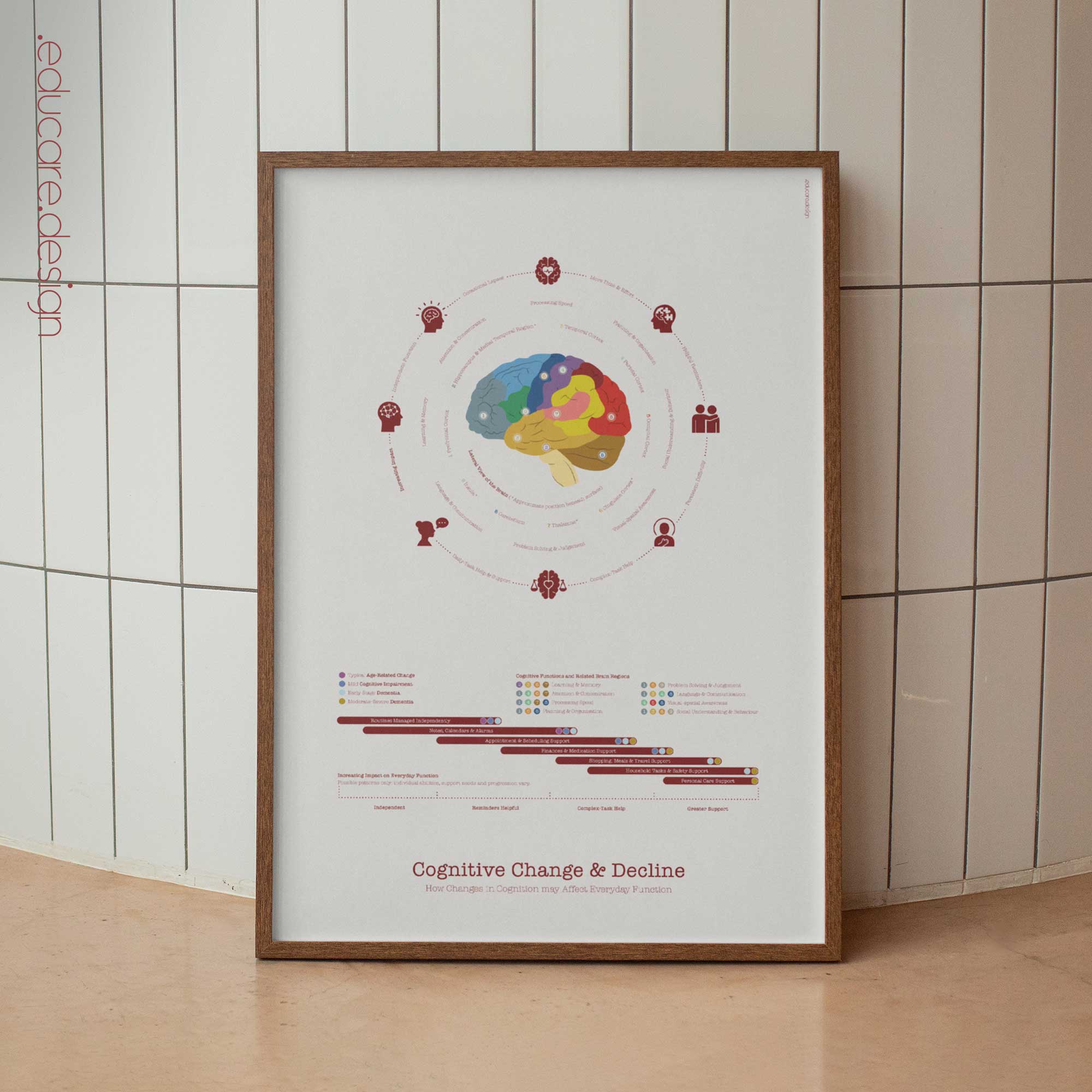 Cognitive Change and Decline anatomy chart for clinics