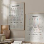ANS Network Map Set anatomy chart for clinics ANS Network Map Set anatomy chart for clinics