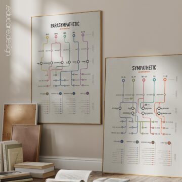 Autonomic System Network Maps