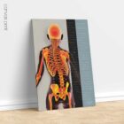 Children’s Spinal Health and Movement Support anatomy chart for clinics