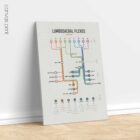 Lumbosacral Plexus Network Map anatomy chart for clinics