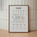 ANS Network Map Set anatomy chart for clinics ANS Network Map Set anatomy chart for clinics