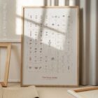 Complete Bone Atlas anatomy chart for clinics