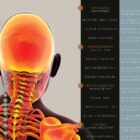 Children’s Spinal Health and Movement Support anatomy chart for clinics