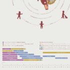 Early Brain Development anatomy chart for clinics