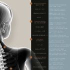 Pregnancy Discomfort and Care anatomy chart for clinics