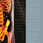 Children’s Spinal Health and Movement Support anatomy chart for clinics
