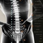 Pregnancy Discomfort and Care anatomy chart for clinics