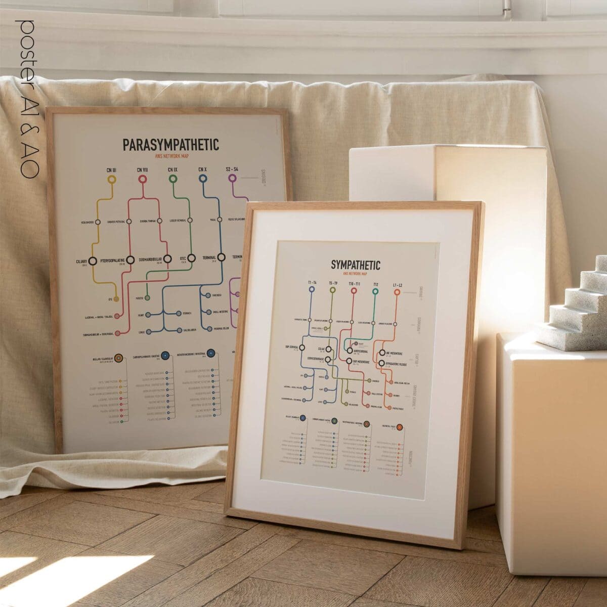 Autonomic System Network Maps