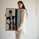 Pregnancy Discomfort and Care anatomy chart for clinics