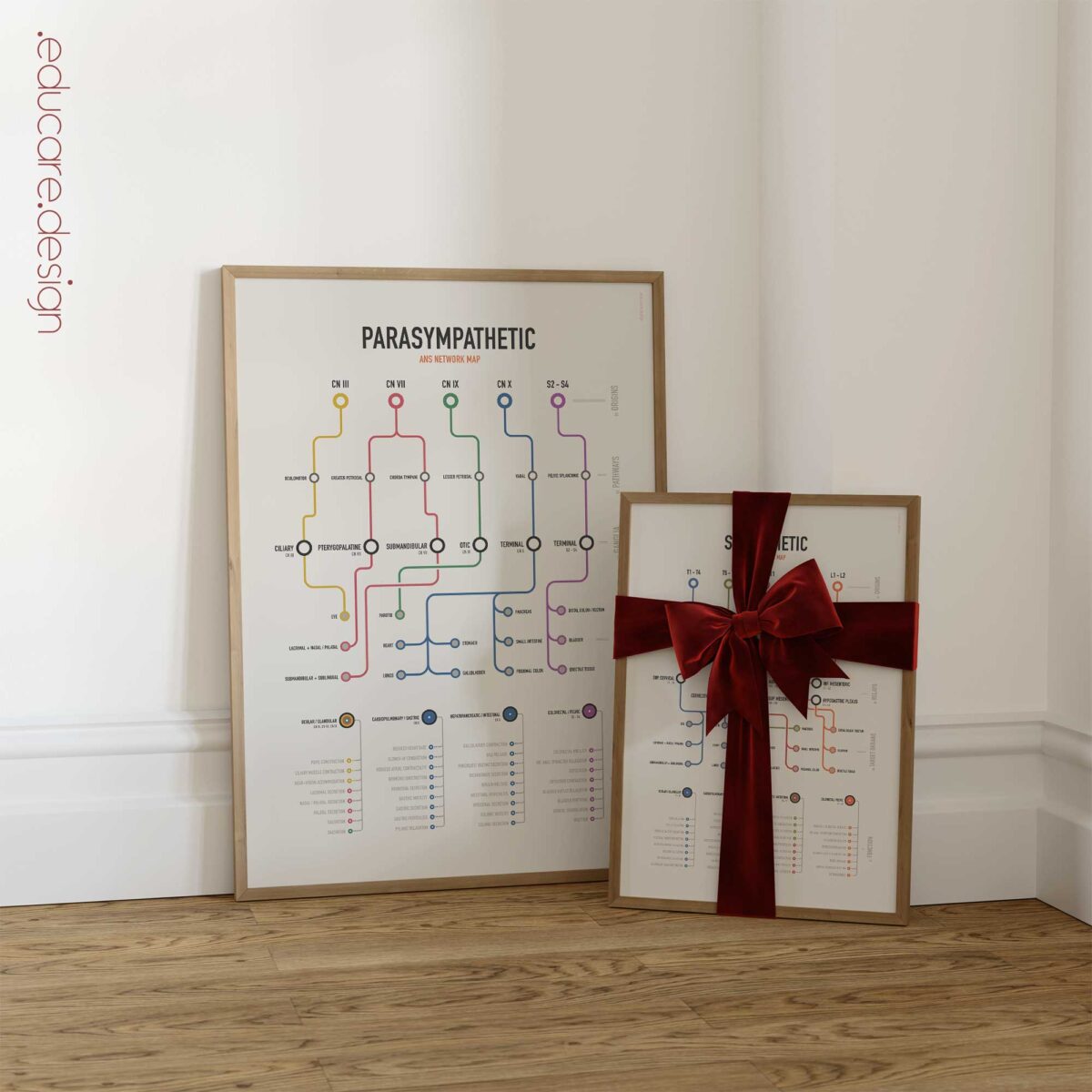 Autonomic System Network Maps