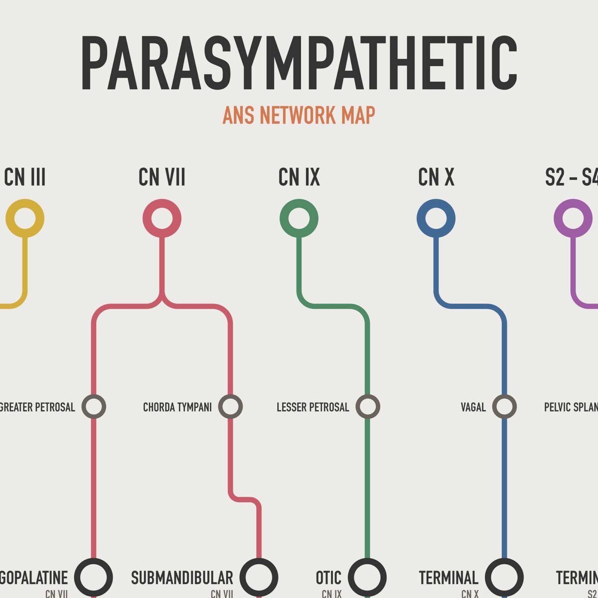 Parasympathetic ANS Network Maps