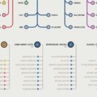 ANS Network Map Set anatomy chart for clinics ANS Network Map Set anatomy chart for clinics