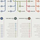 ANS Network Map Set anatomy chart for clinics ANS Network Map Set anatomy chart for clinics