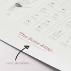 Complete Bone Atlas anatomy chart for clinics