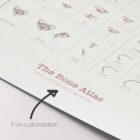 Complete Bone Atlas anatomy chart for clinics