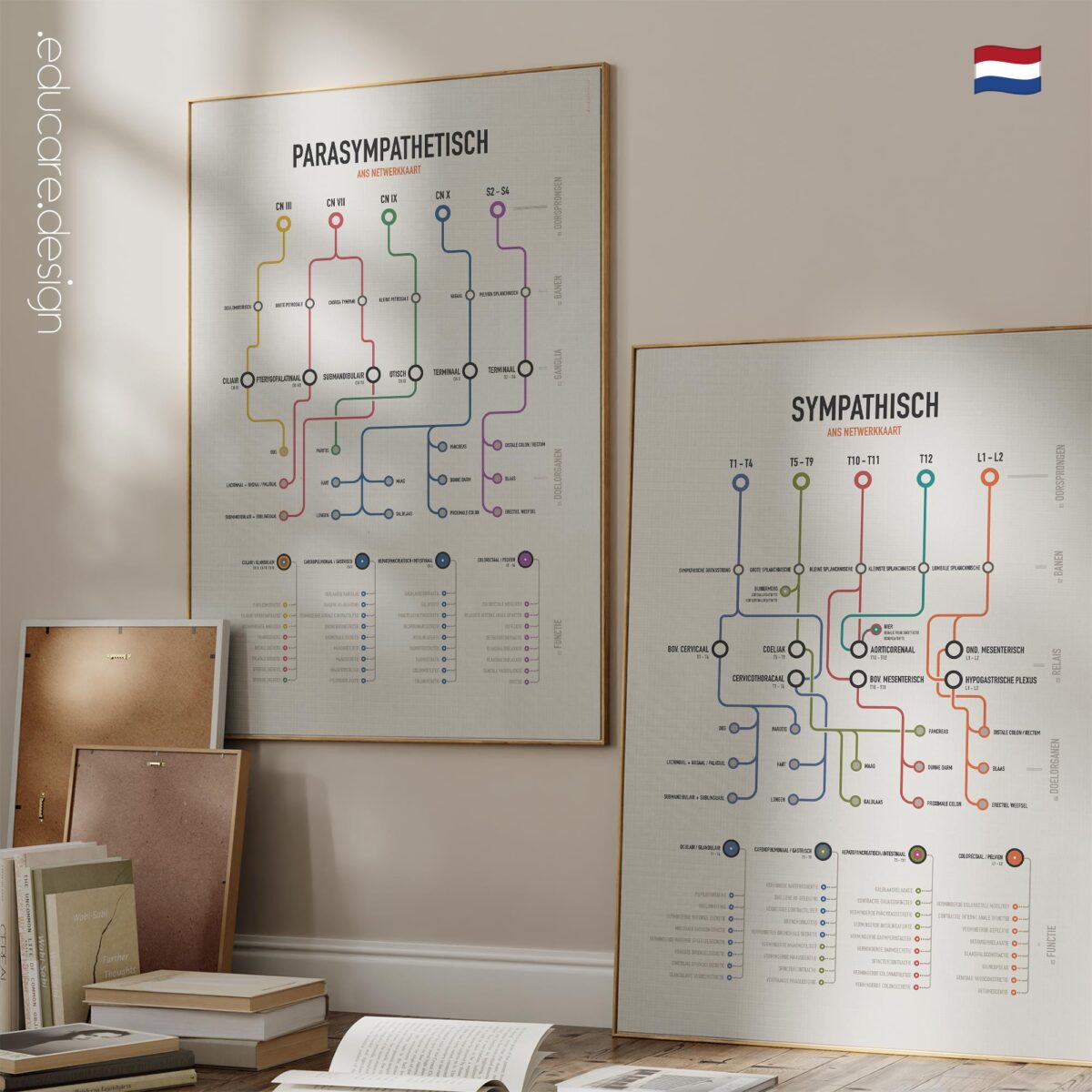 Autonomic System Network Maps