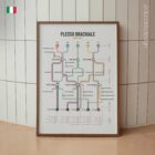 Mappa di Rete del Plesso Brachiale tavola anatomica per studi e cliniche