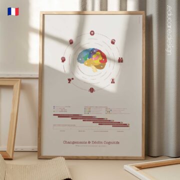 Développement Cérébral Précoce planche anatomique pour cabinets et cliniques
