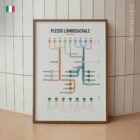 Mappa di Rete del Plesso Lombosacrale tavola anatomica per studi e cliniche