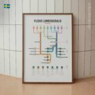 Lumbosakral Plexus Nätverkskarta anatomidiagram för kliniker