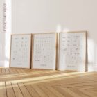 Complete Bone Atlas anatomy chart for clinics
