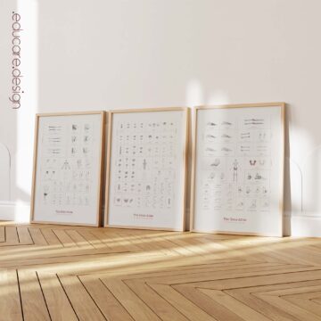 The Complete Bone Atlas | 206 Bones Anatomy Chart Set
