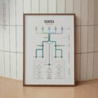 Sciatica Clinical Testing Reference anatomy chart for clinics