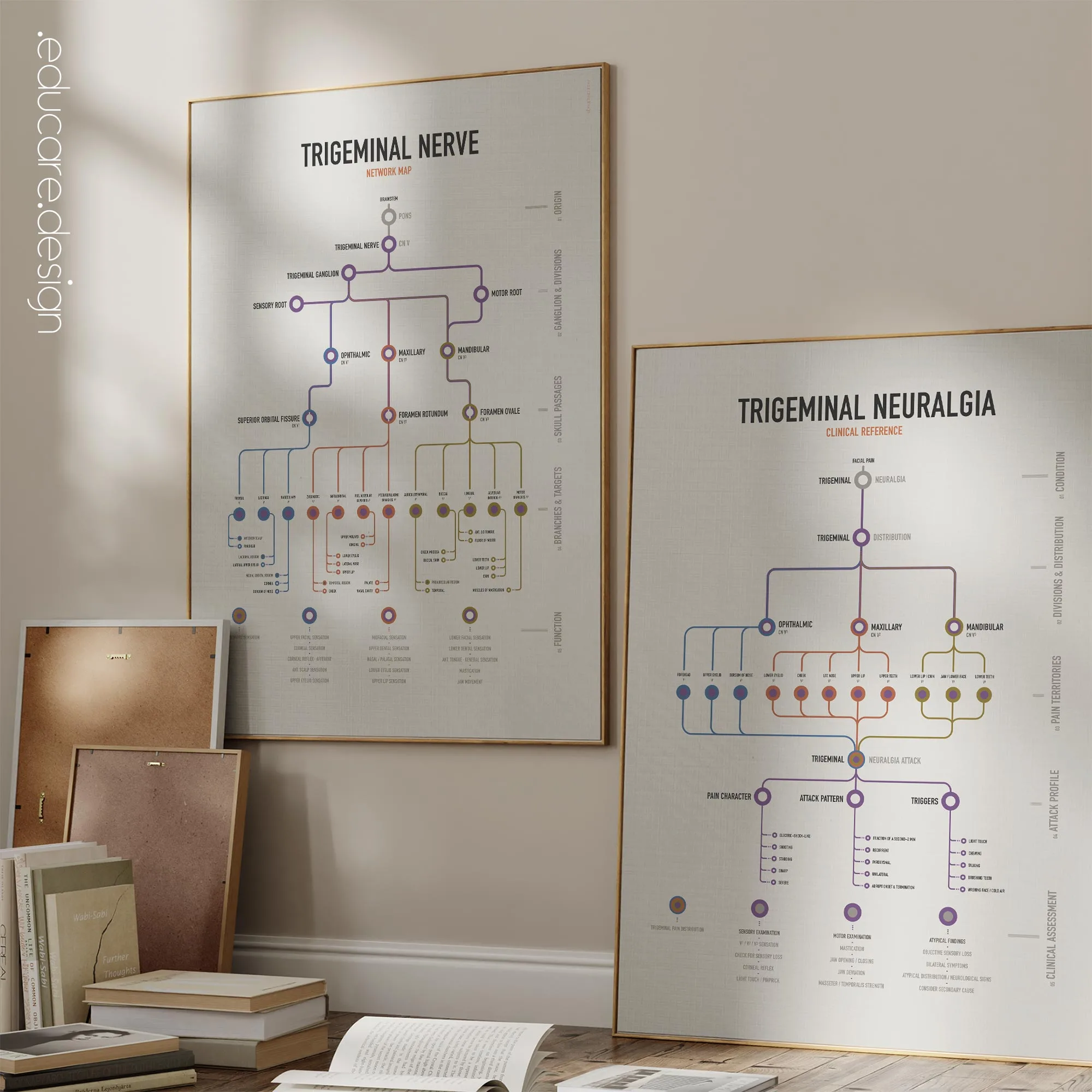 Trigeminal Nerve Set anatomy chart for clinics