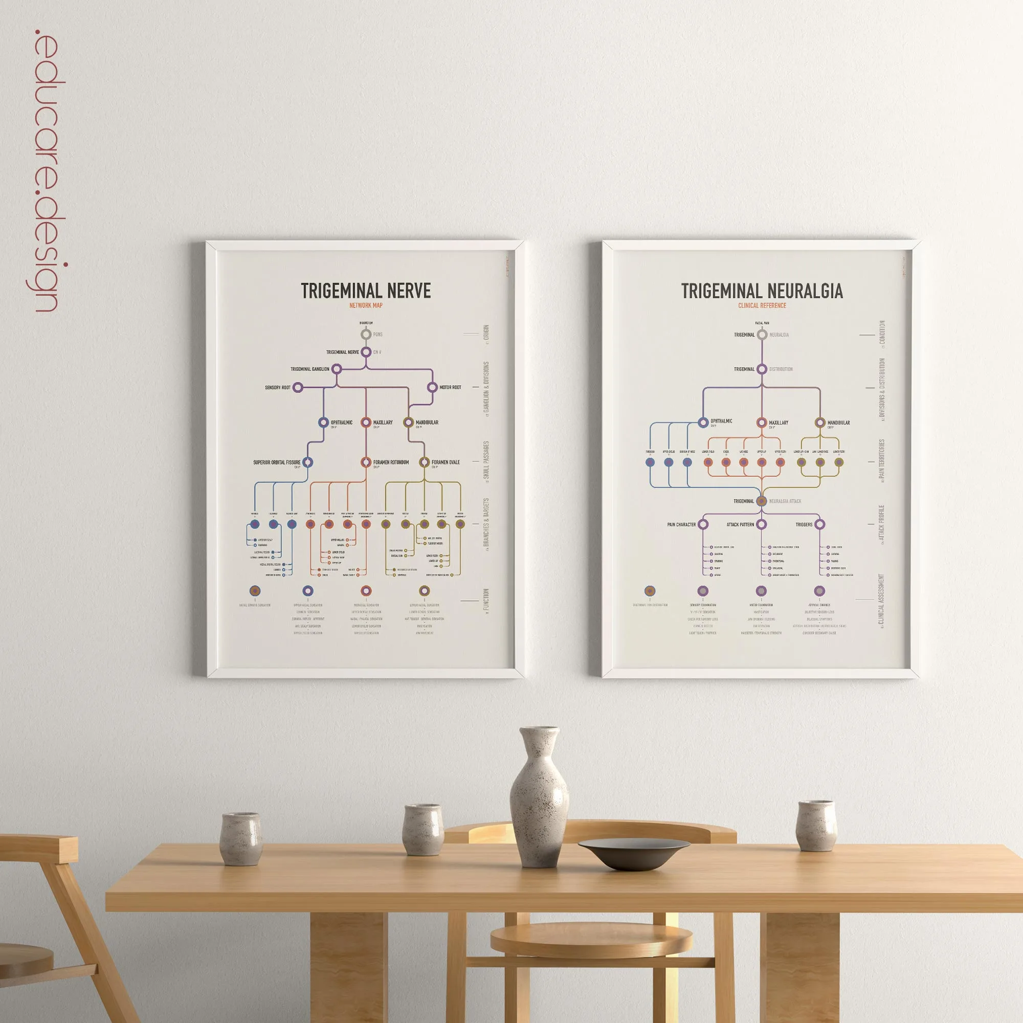 Trigeminal Nerve Set with trigeminal nerve anatomy and trigeminal neuralgia clinical reference charts.