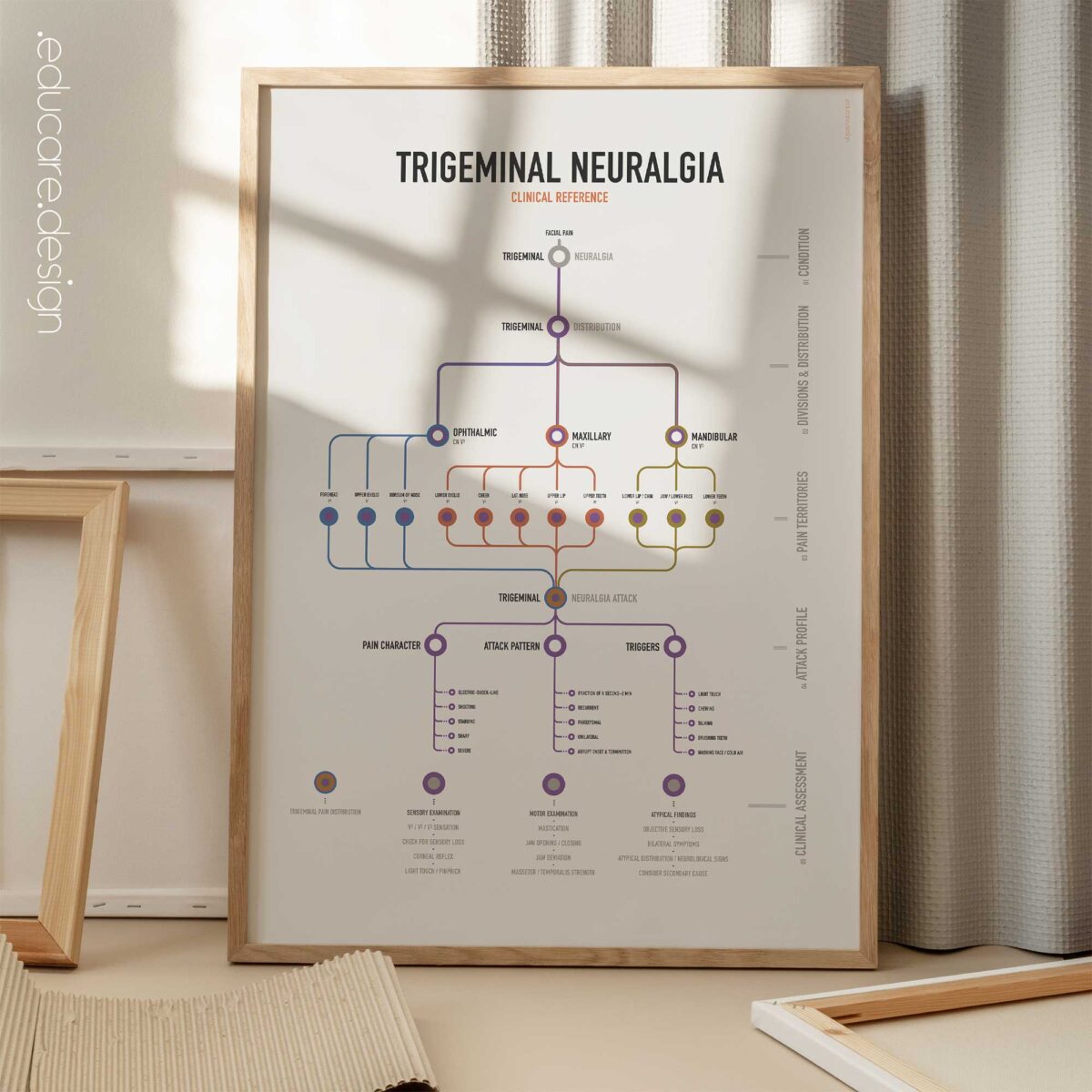 Trigeminal Nerve Set with trigeminal nerve anatomy and trigeminal neuralgia clinical reference charts.