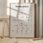 Trigeminal Nerve Set anatomy chart for clinics