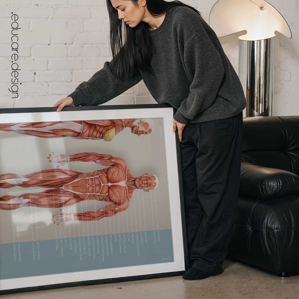 Save 25% on our Muscular System Set