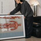 Muscular System Set anatomy chart for clinics