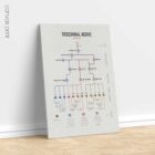 Trigeminal Nerve Set anatomy chart for clinics