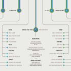 Sciatica Clinical Testing Reference anatomy chart for clinics