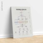 Trigeminal Nerve Set anatomy chart for clinics