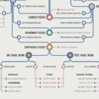 Vagus Nerve Network Map anatomy chart for clinics
