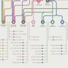 Cranial Nerves Network Map anatomy chart for clinics Cranial Nerves Network Map anatomy chart for clinics
