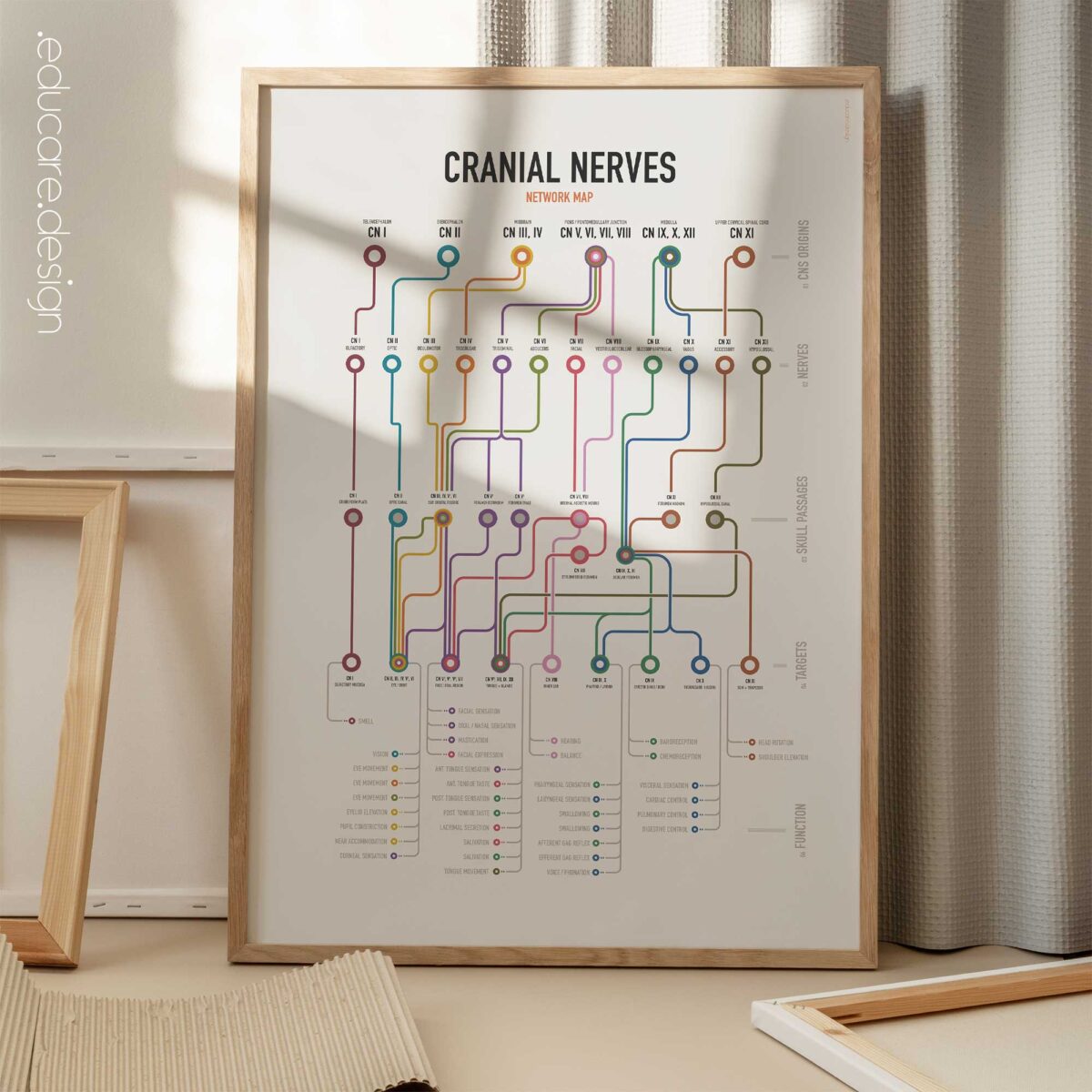 Cranial Nerves Network Map