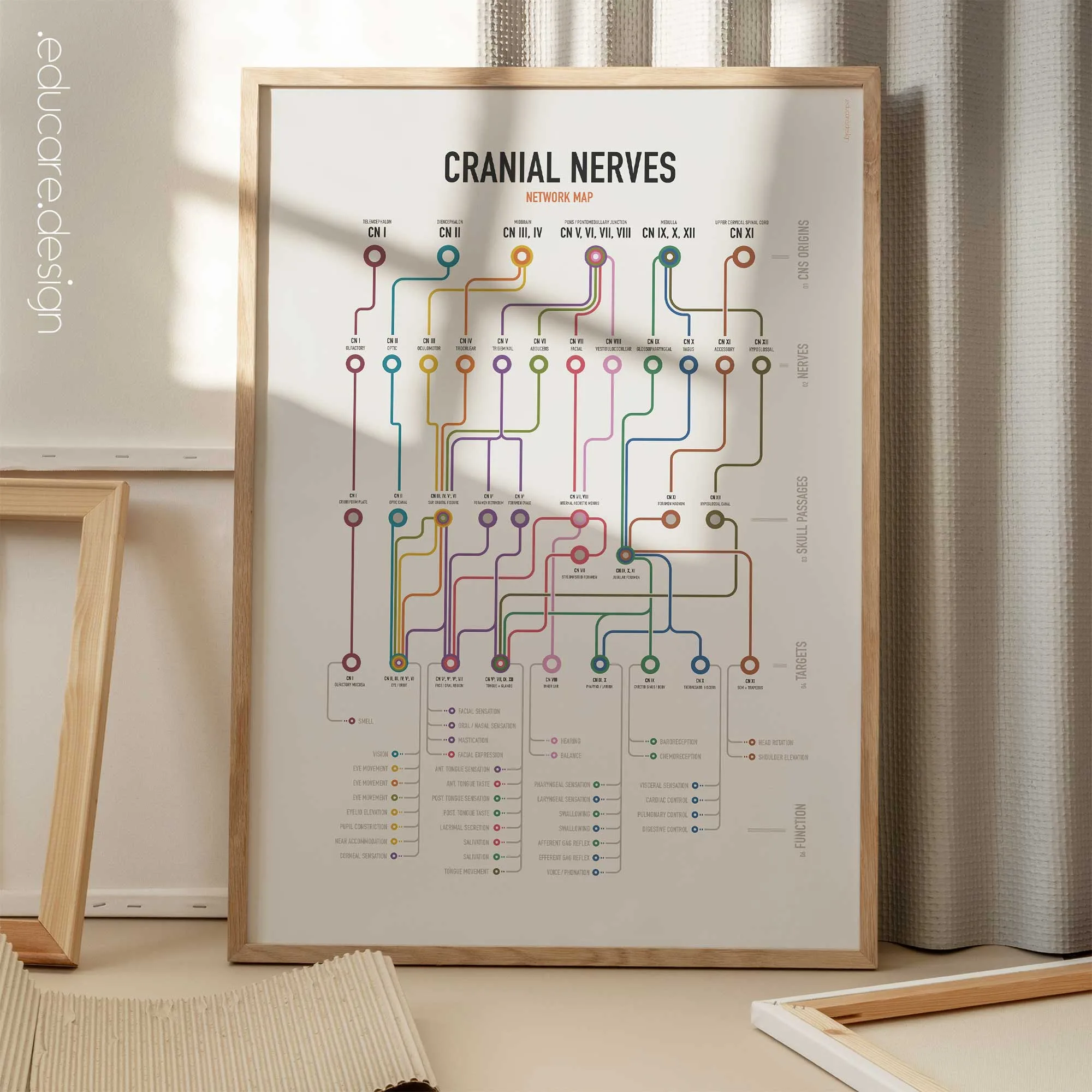 Cranial Nerves Network Map