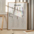 Spinal Nerves Clinical Root Testing anatomy chart for clinics
