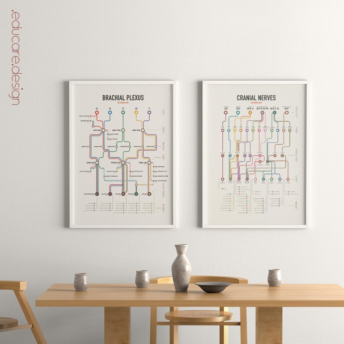 09_Cranial-Nerves-Network-Map