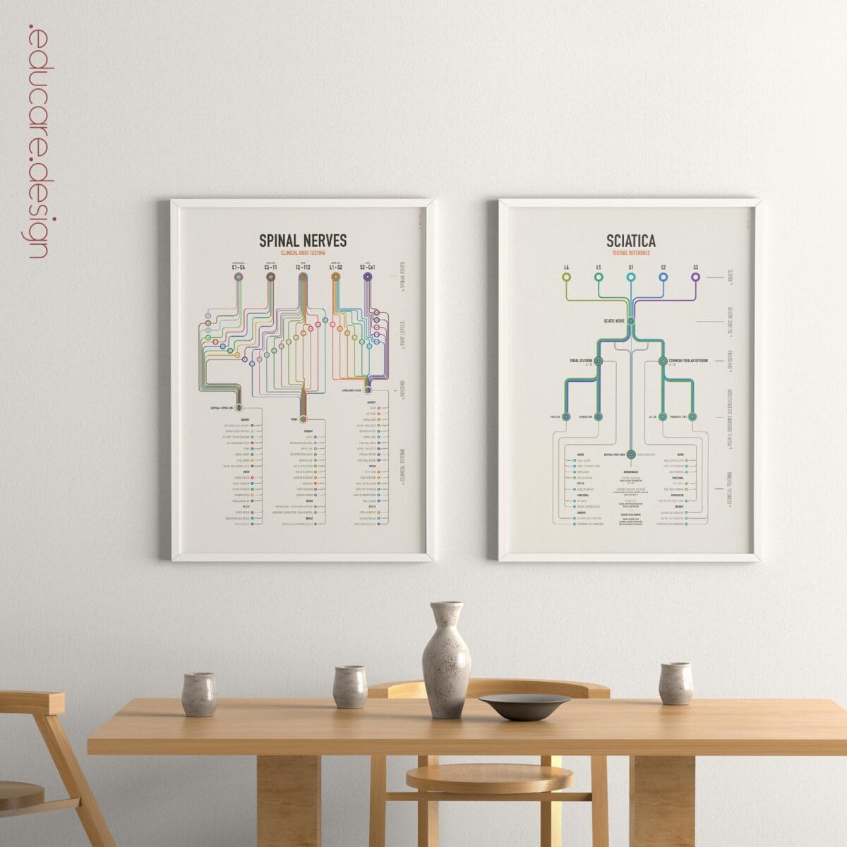 Sciatica and Spinal Nerves Clinical Testing Charts