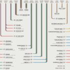 Peripheral Nerves Set anatomy chart for clinics